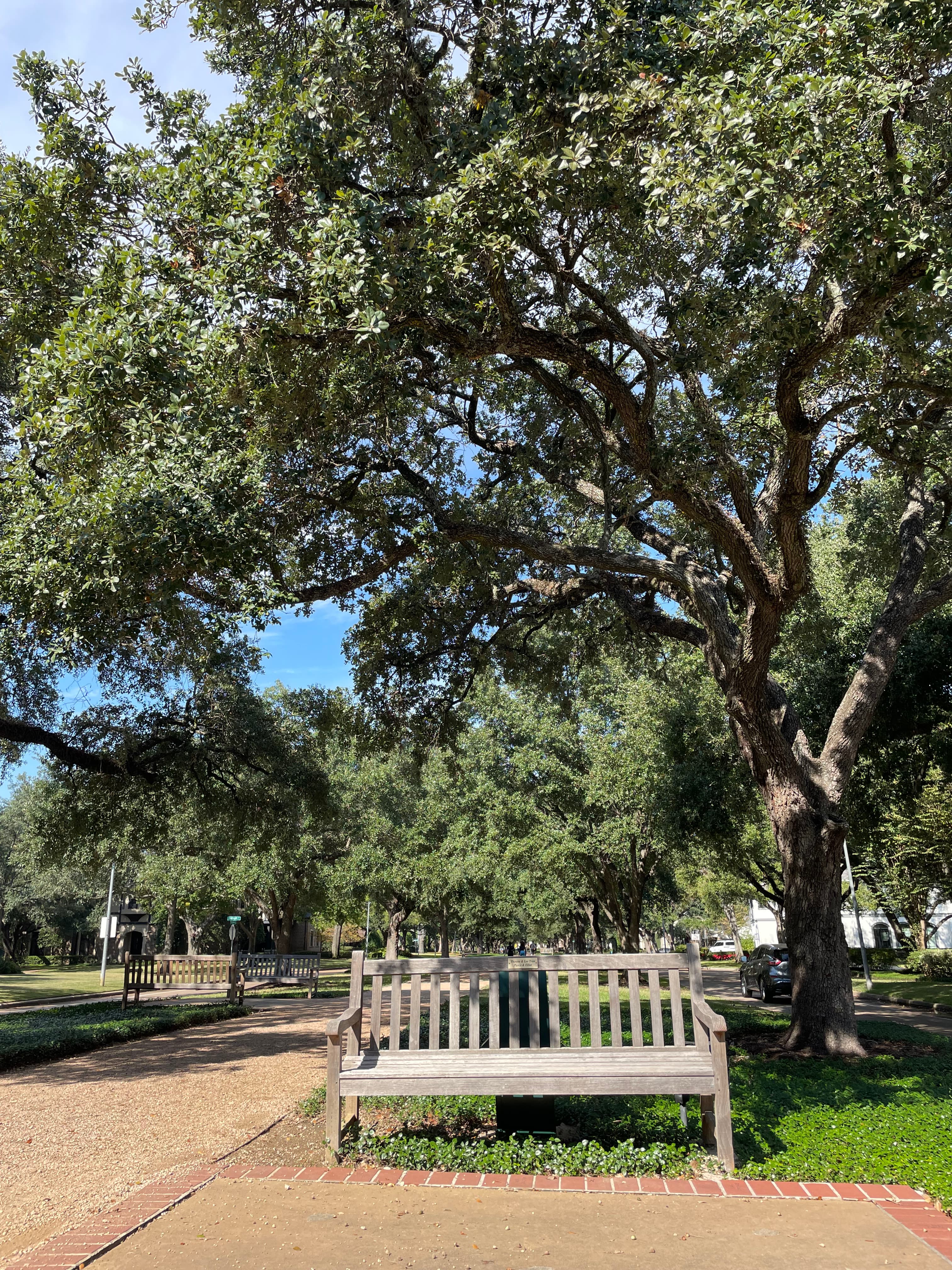 Houston travel memory 2